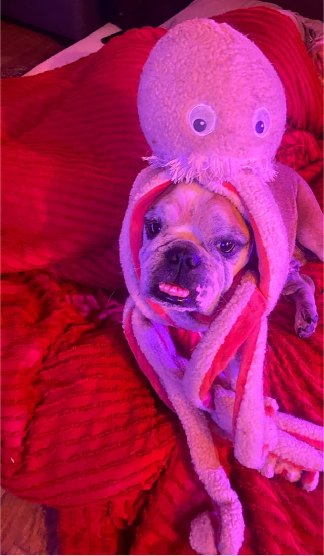 Cheezburger Image 10611887360