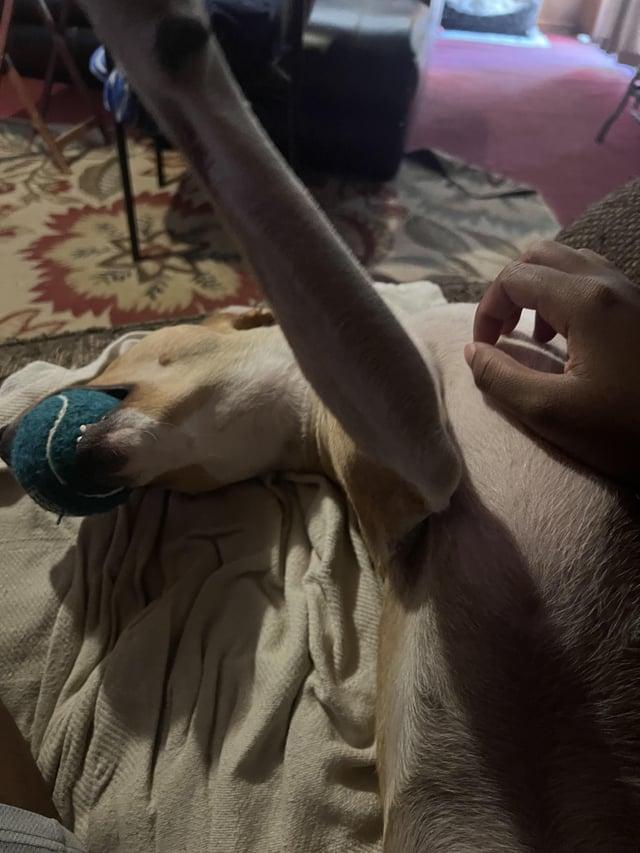 Cheezburger Image 10611887872