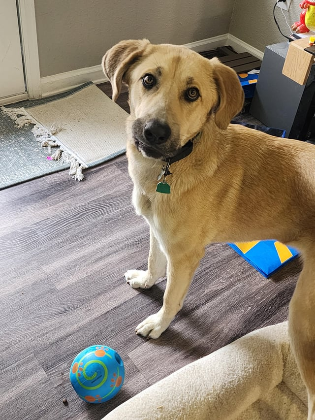 Cheezburger Image 10611888128