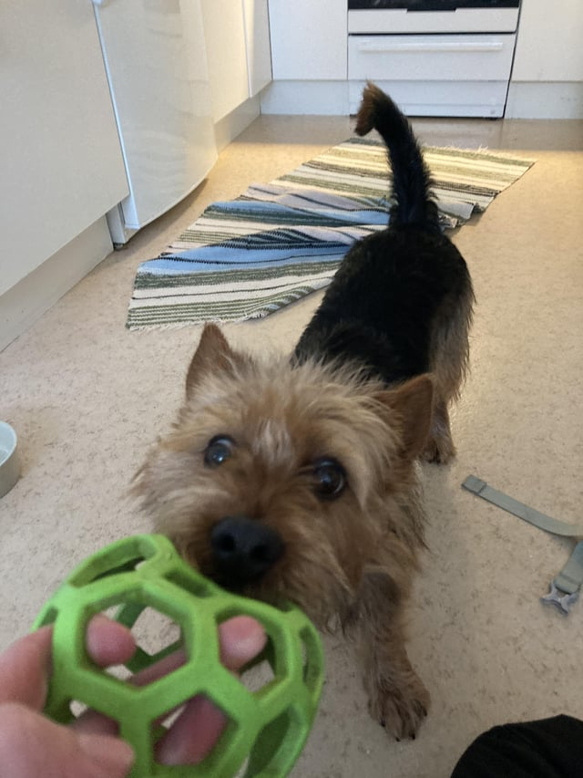 Cheezburger Image 10611888384