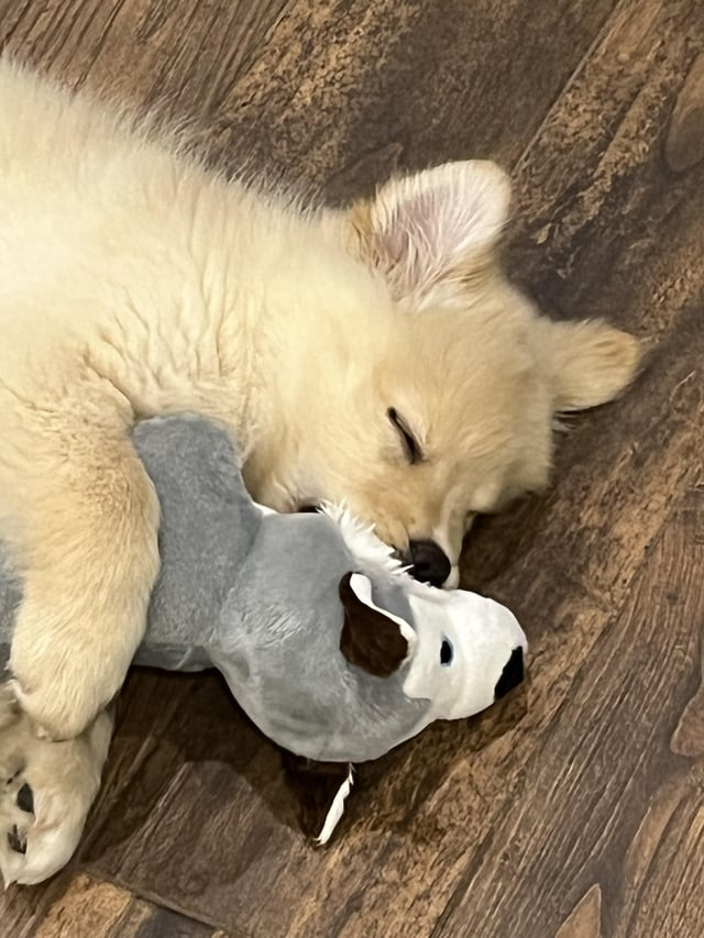 Cheezburger Image 10611888896