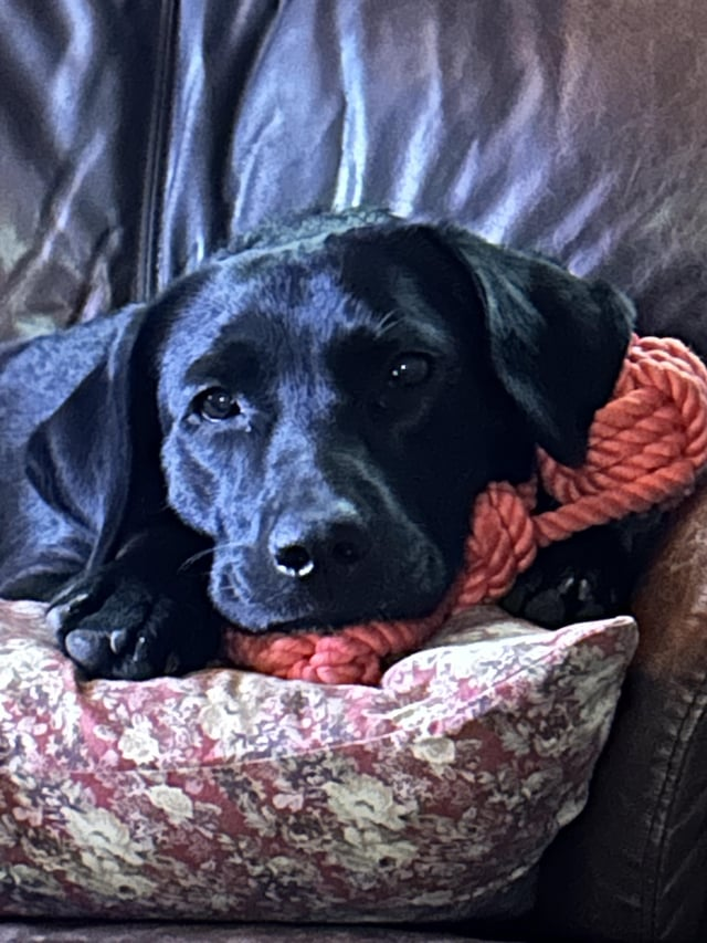 Cheezburger Image 10611889408