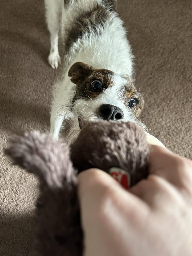 Cheezburger Image 10611889920