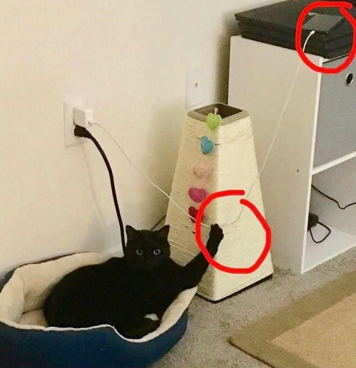 Cheezburger Image 10611895552