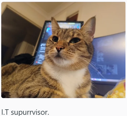 I.T supurrvisor.