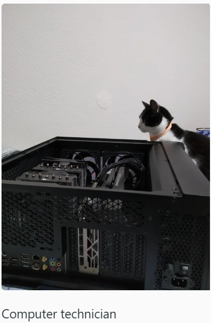 罩 1093 19 DER Computer technician