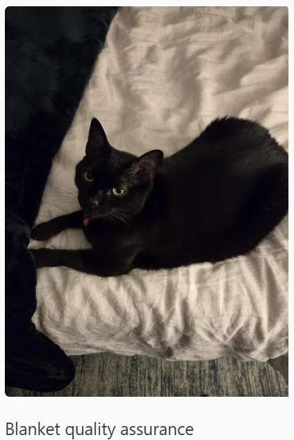 Blanket quality assurance