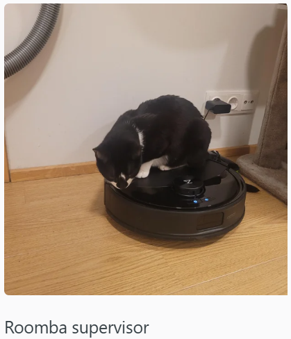 Roomba supervisor