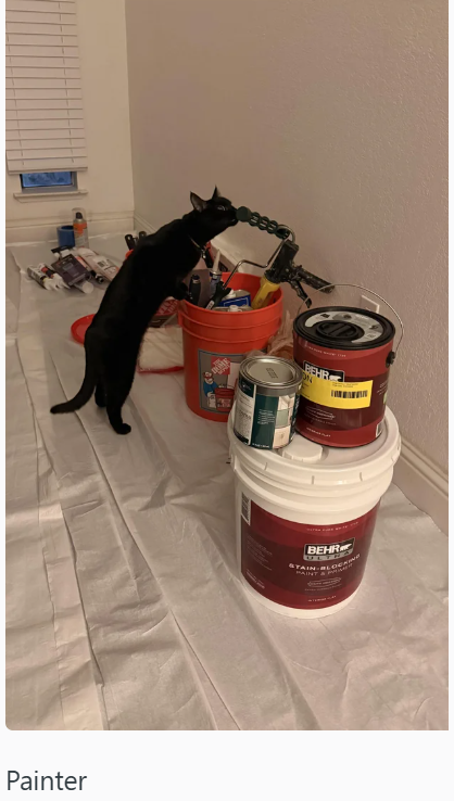 Painter BEHR STAIN BLOCKI