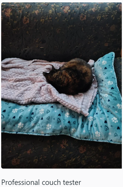 Professional couch tester