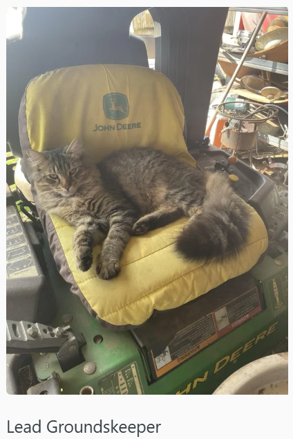 Lead Groundskeeper JOHN DEERE ONIN HN DEERE