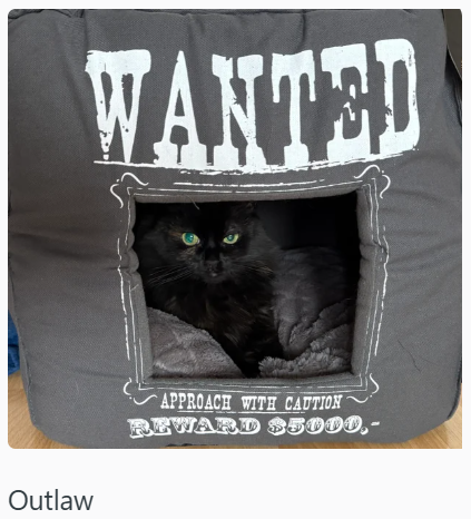 WANTED Outlaw APPROACH WITH CAUTION REWARD $5000,-