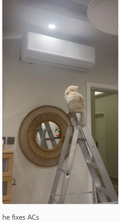 he fixes ACs