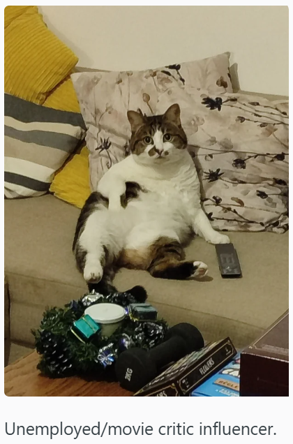 FLOWERS Unemployed/movie critic influencer.