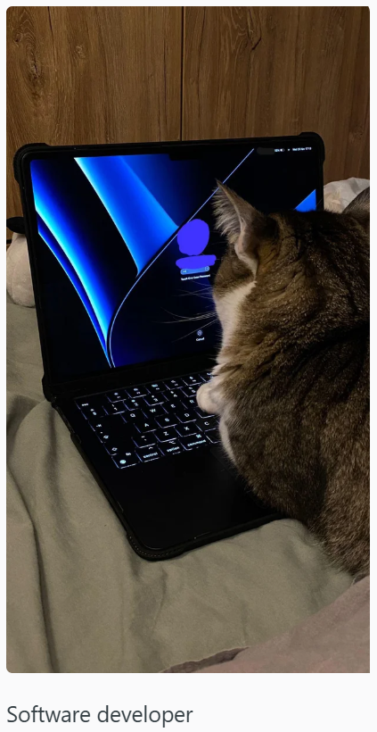 = 4 T Software developer