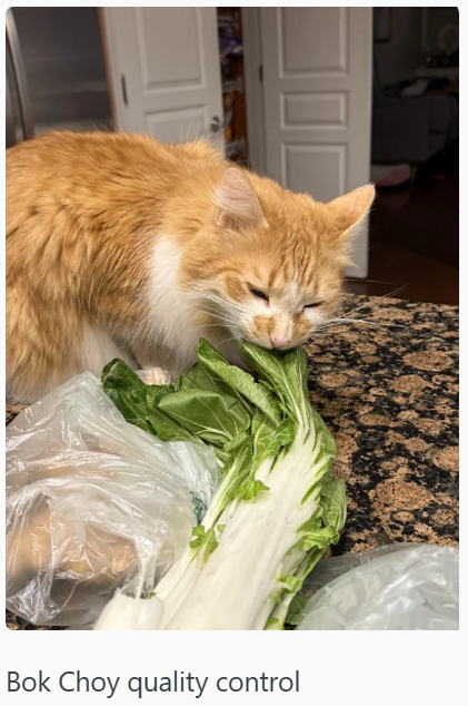 Bok Choy quality control
