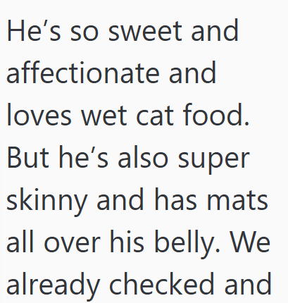 He's so sweet and affectionate and loves wet cat food. But he's also super skinny and has mats all over his belly. We already checked and