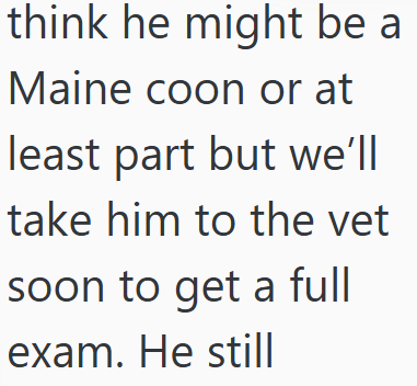 think he might be a Maine coon or at least part but we'll take him to the vet soon to get a full exam. He still