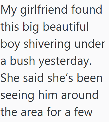 My girlfriend found this big beautiful boy shivering under a bush yesterday. She said she's been seeing him around the area for a few