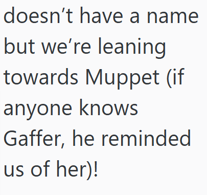 doesn't have a name but we're leaning towards Muppet (if anyone knows Gaffer, he reminded us of her)!