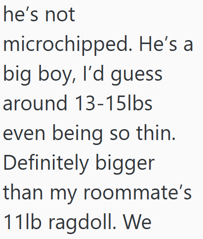 he's not microchipped. He's a big boy, I'd guess around 13-15lbs even being so thin. Definitely bigger than my roommate's 11lb ragdoll. We