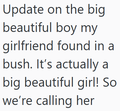 Update on the big beautiful boy my girlfriend found in a bush. It's actually a big beautiful girl! So we're calling her