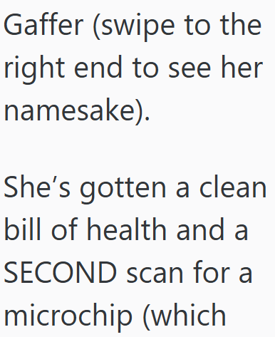 Gaffer (swipe to the right end to see her namesake). She's gotten a clean bill of health and a SECOND scan for a microchip (which