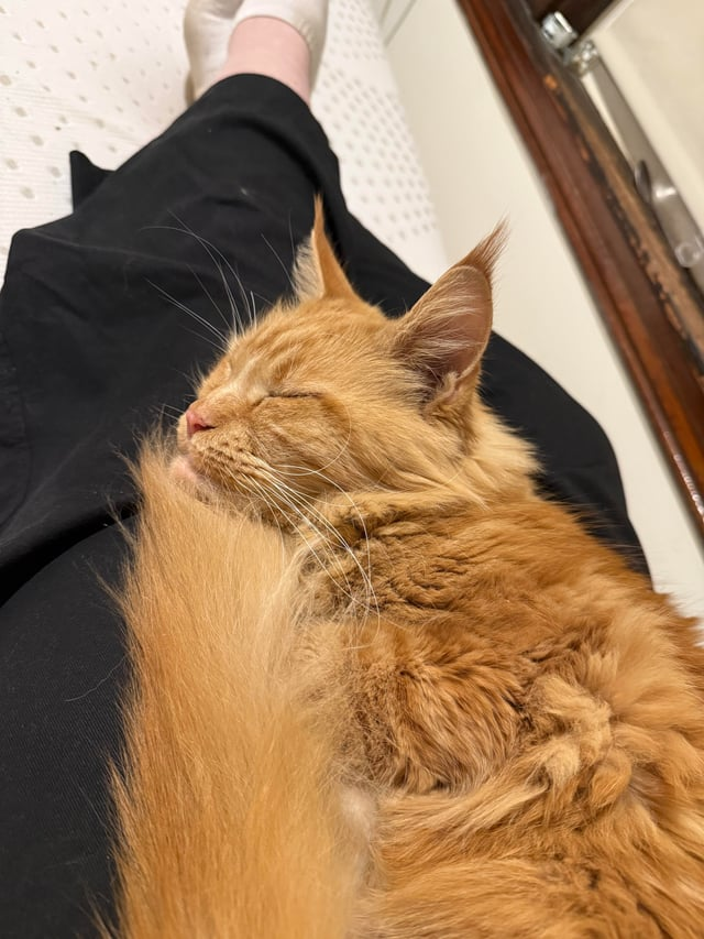 Cheezburger Image 10611909120