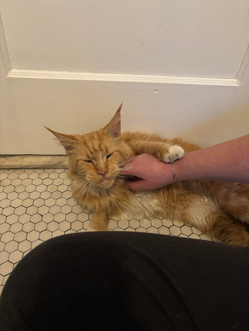 Cheezburger Image 10611909632