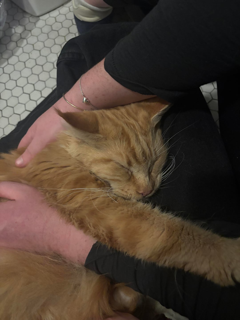 Cheezburger Image 10611909888