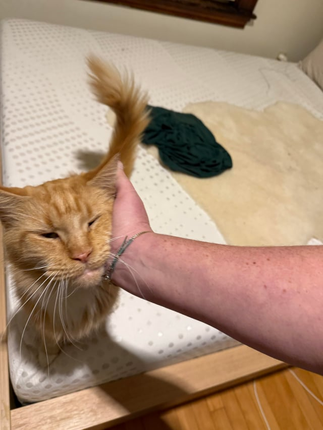 Cheezburger Image 10611910912