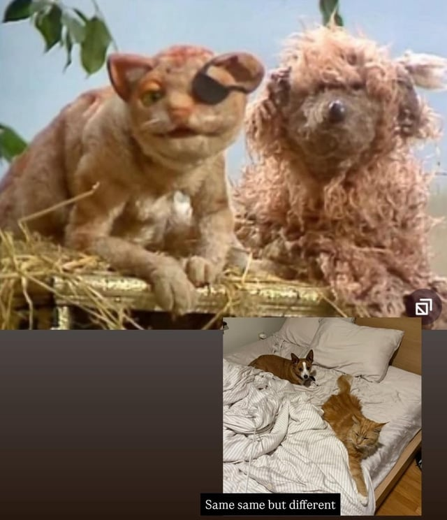 Same same but different