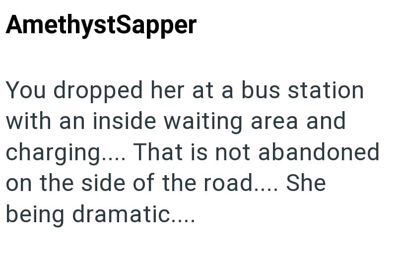 AmethystSapper You dropped her at a bus station with an inside waiting area and charging.... That is not abandoned on the side of the road.... She being dramatic....