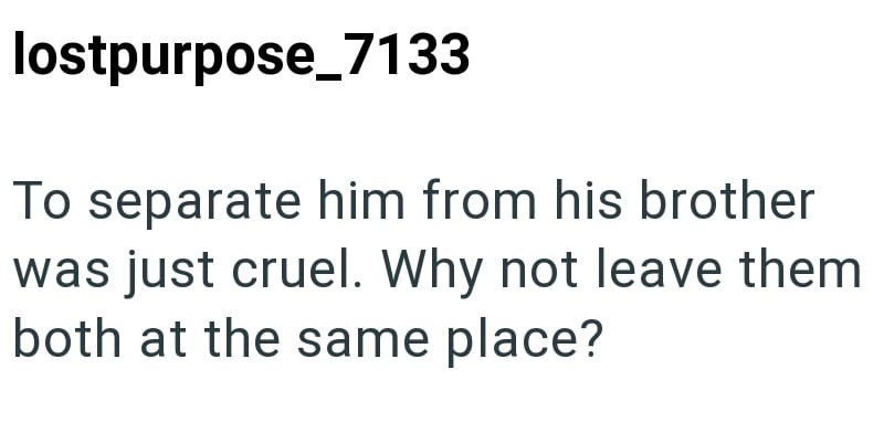lostpurpose_7133 To separate him from his brother was just cruel. Why not leave them both at the same place?