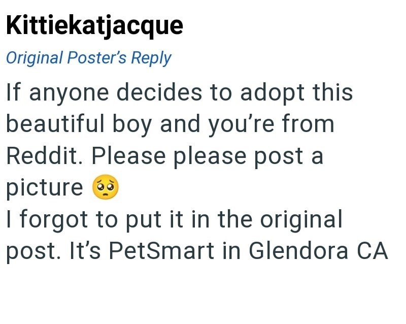 Kittiekatjacque Original Poster's Reply If anyone decides to adopt this beautiful boy and you're from Reddit. Please please post a picture I forgot to put it in the original post. It's PetSmart in Glendora CA
