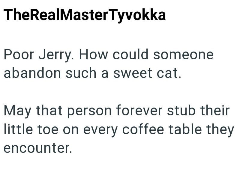 TheRealMasterTyvokka Poor Jerry. How could someone abandon such a sweet cat. May that person forever stub their little toe on every coffee table they encounter.
