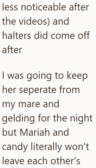 Cheezburger Image 10611927808