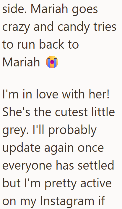 Cheezburger Image 10611928064