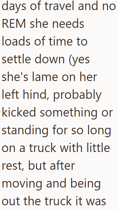 Cheezburger Image 10611928576