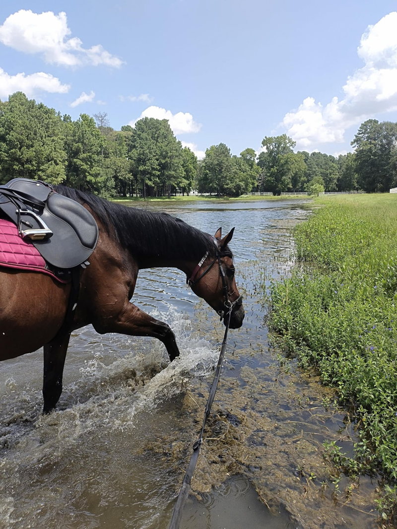 Cheezburger Image 10611929344