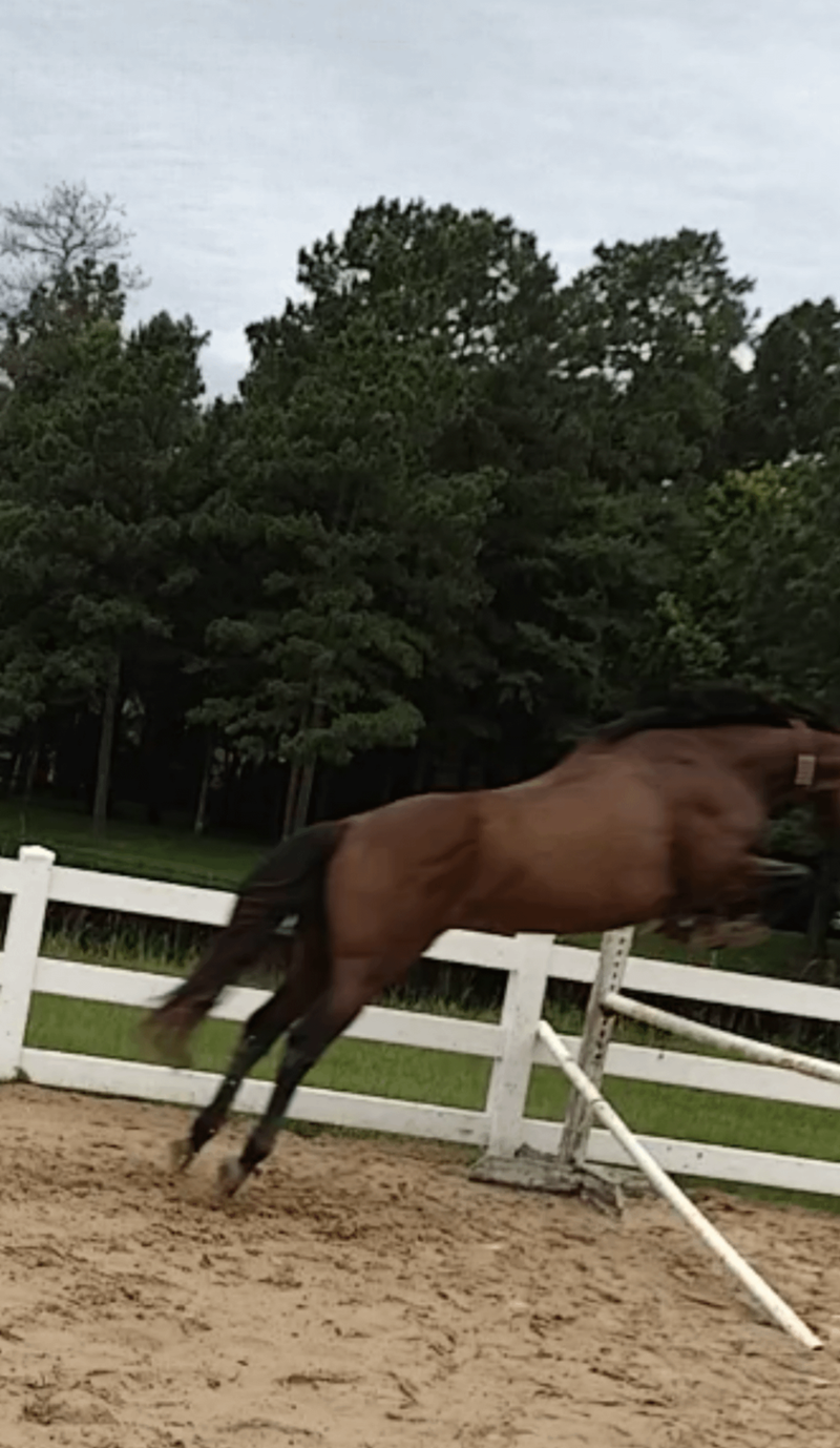 Cheezburger Image 10611929856