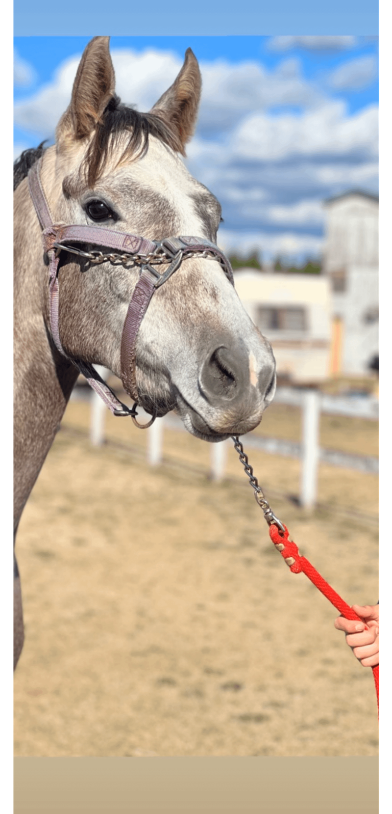 Cheezburger Image 10611930112