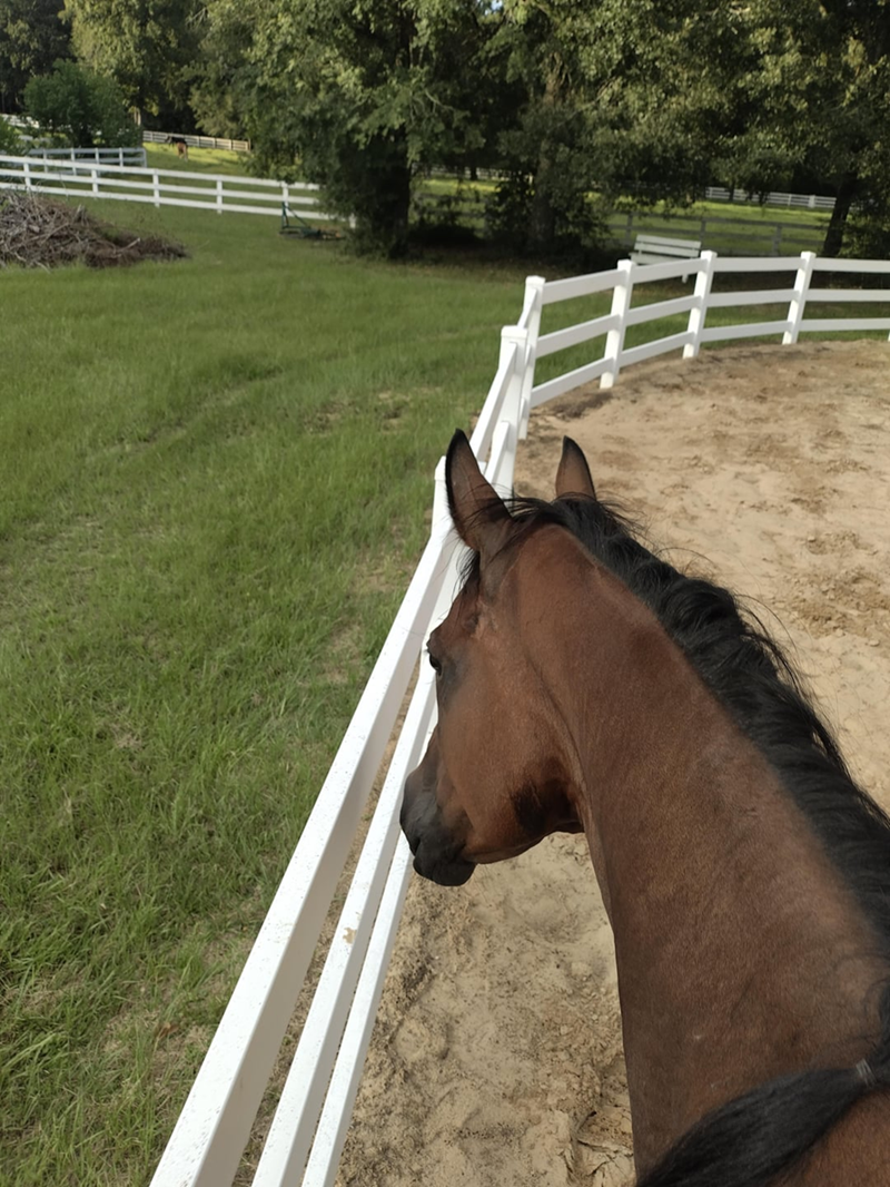 Cheezburger Image 10611930368