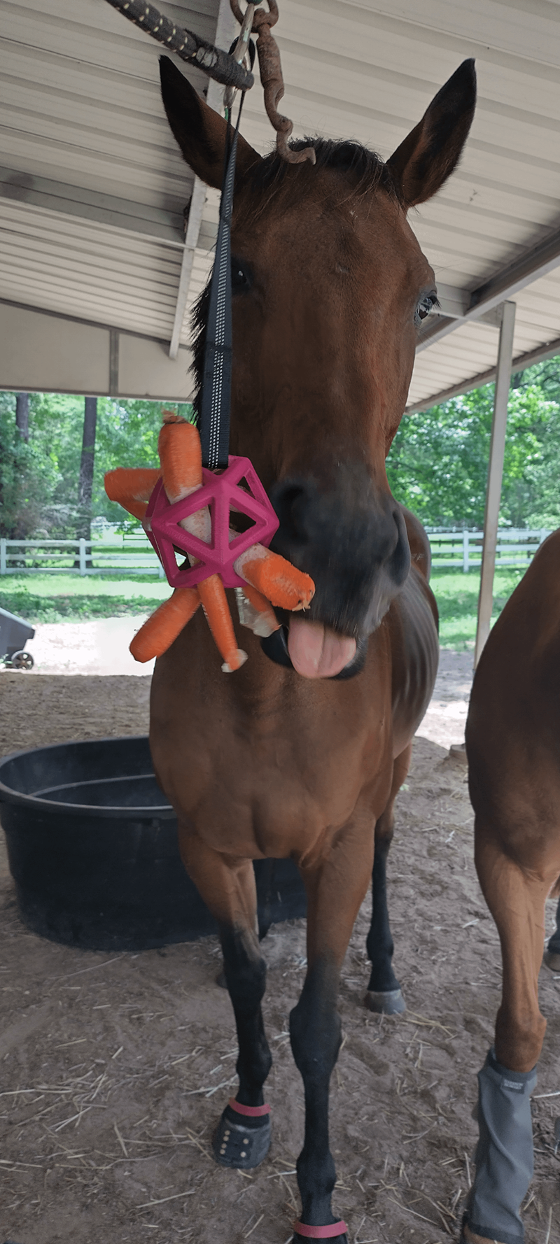 Cheezburger Image 10611930624