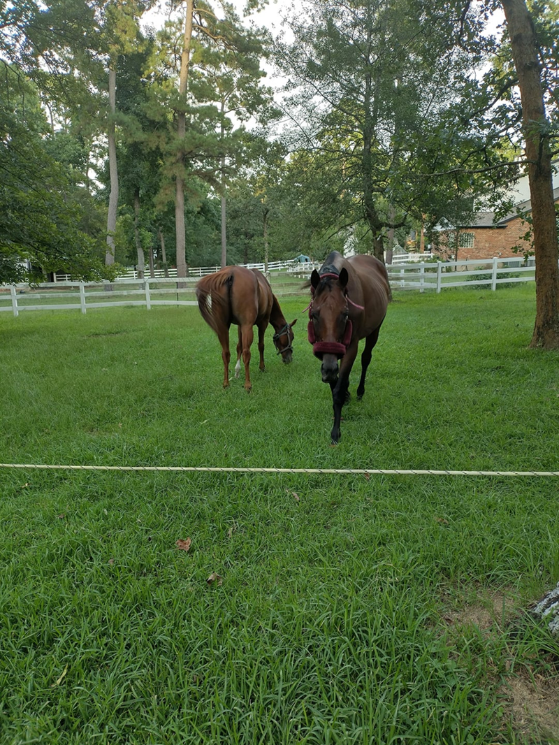 Cheezburger Image 10611930880