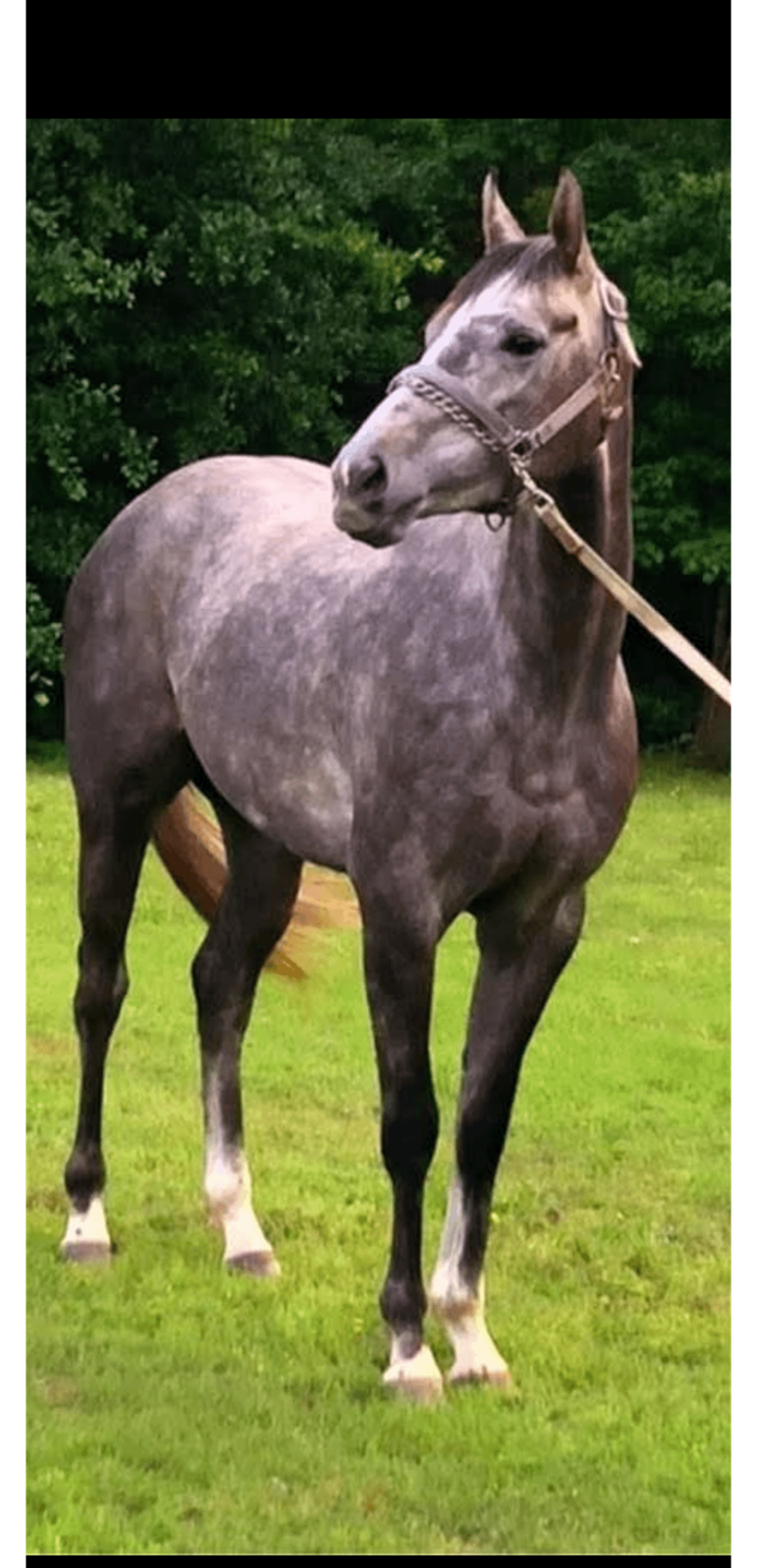 Cheezburger Image 10611931136