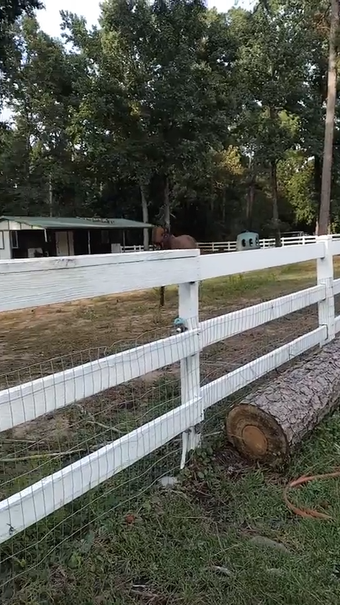 Cheezburger Image 10611931392