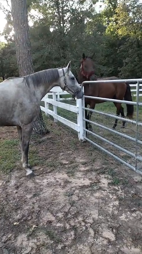 Cheezburger Image 10611931648