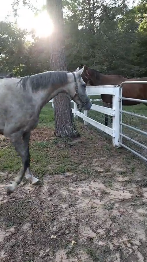 Cheezburger Image 10611931904