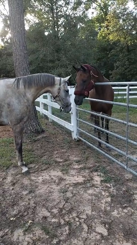 Cheezburger Image 10611932416